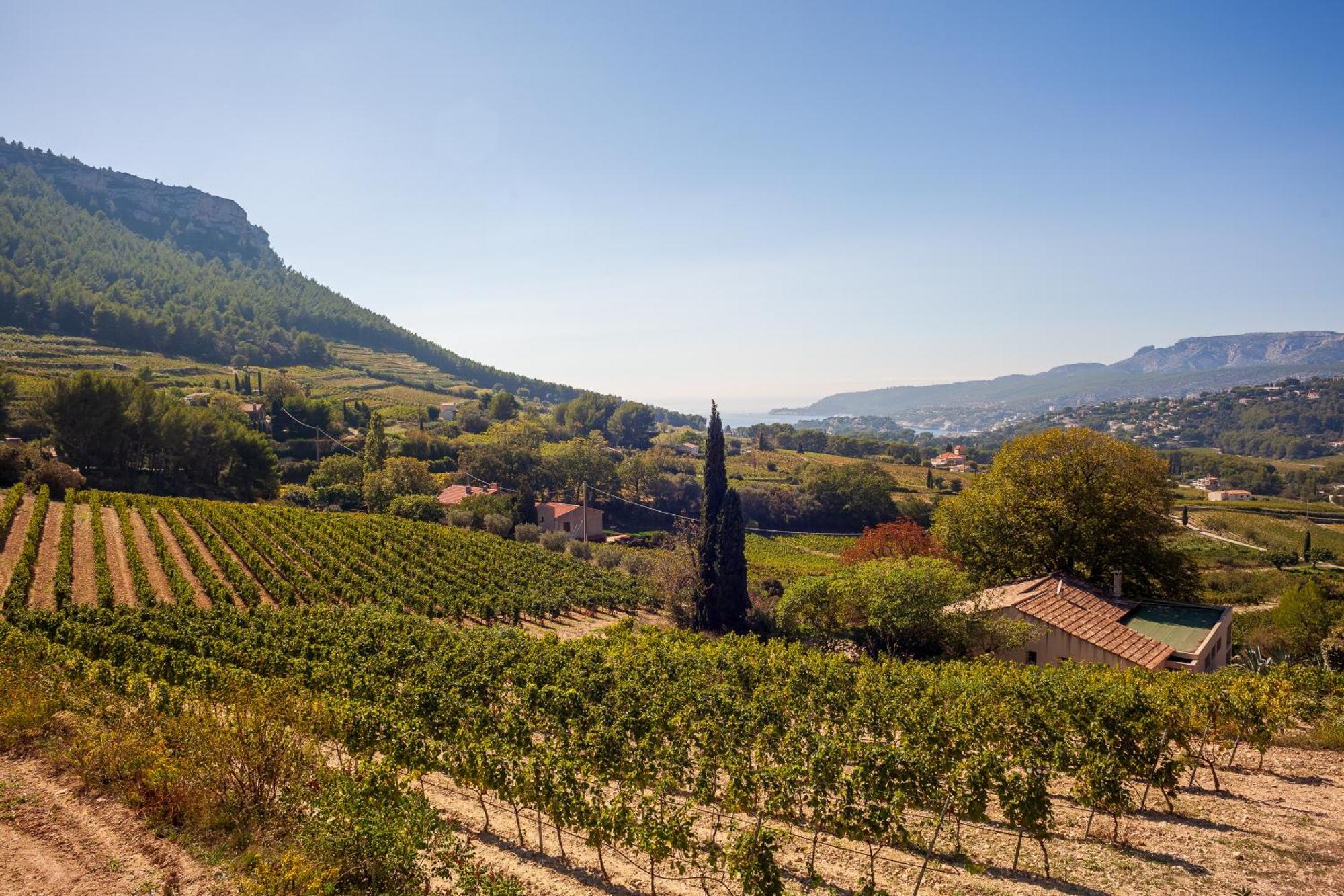 Somptueux Appartement Avec Jardin Cassis Buitenkant foto